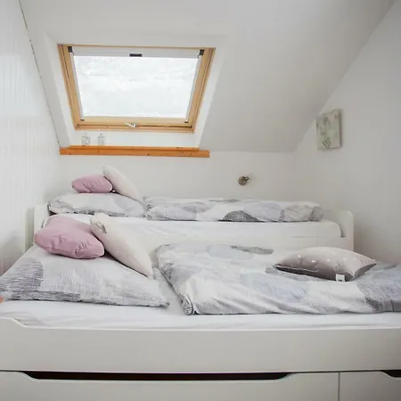 Apartment Wohlfuehloase Am Bikepark Und Skigebiet, 2 Schlafzimmer, Abschliessbarer Fahrradkeller Winterberg